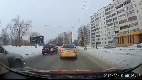 В Челябинске сотрудник ГИБДД перевел хромую собаку через дорогу