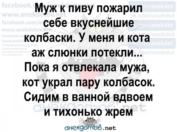 Лучшие анекдоты