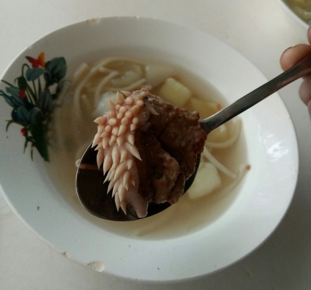 Ученики обнаружили в школьном супе кусок мяса с "щупальцами" Всячина