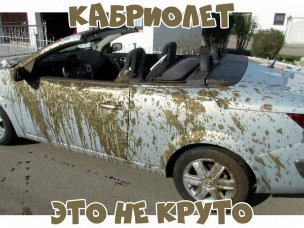 Автоприколы