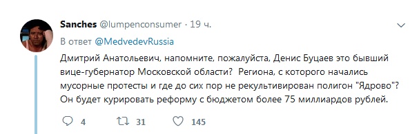 Денис Буцаев станет главой "Российского экологического оператора"