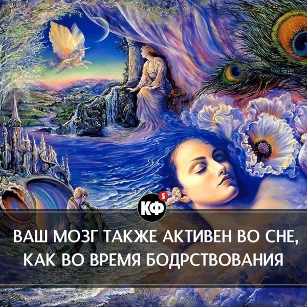 Краткие факты