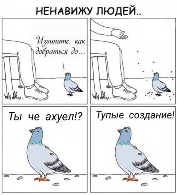 Юмор на любителя