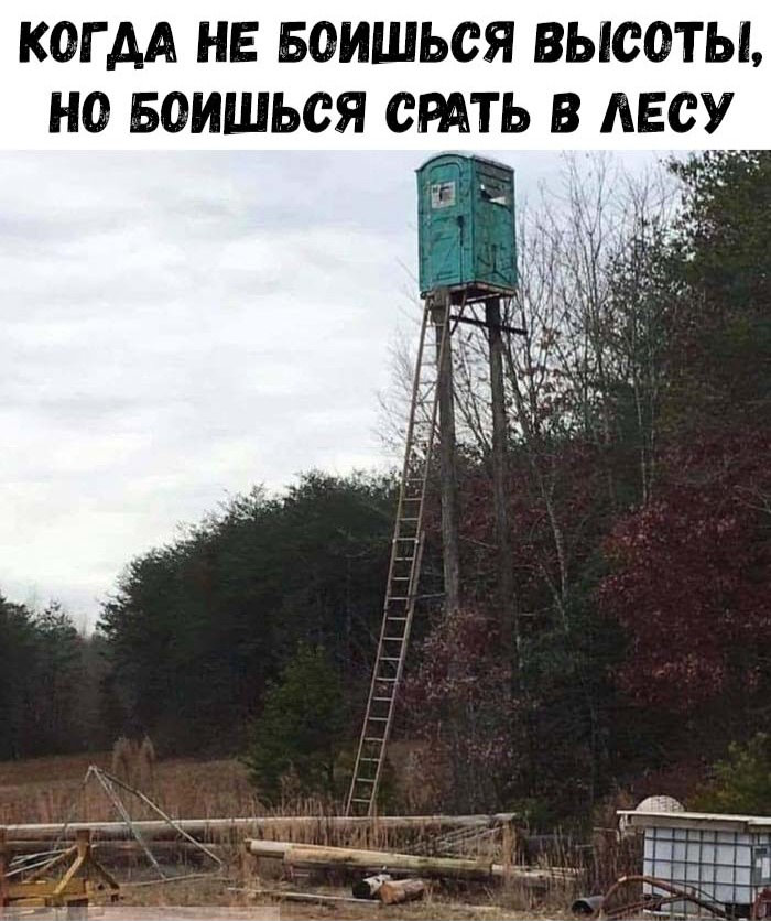 Аморальный юмор