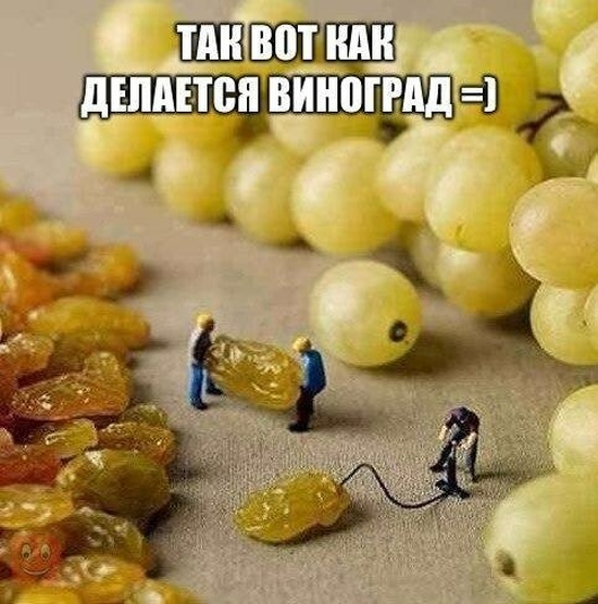 Веселые картинки