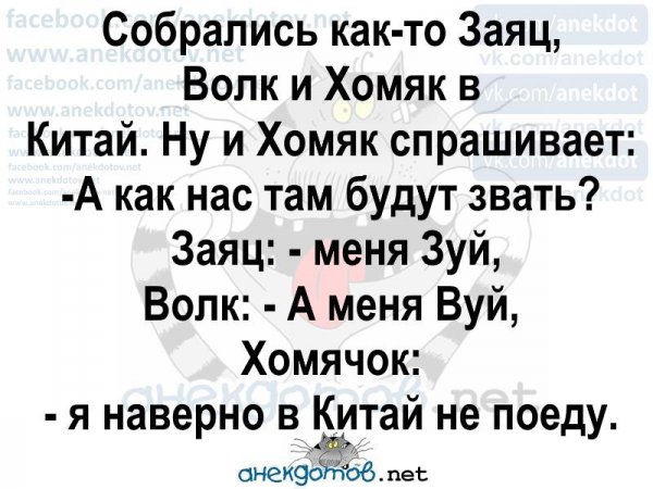 Лучшие анекдоты