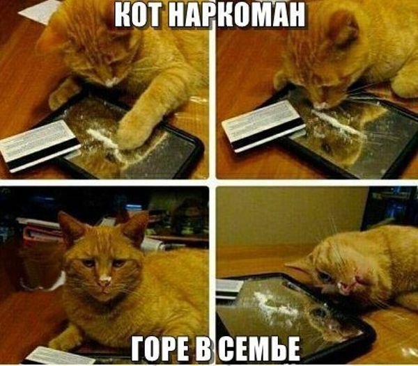 Темный юмор