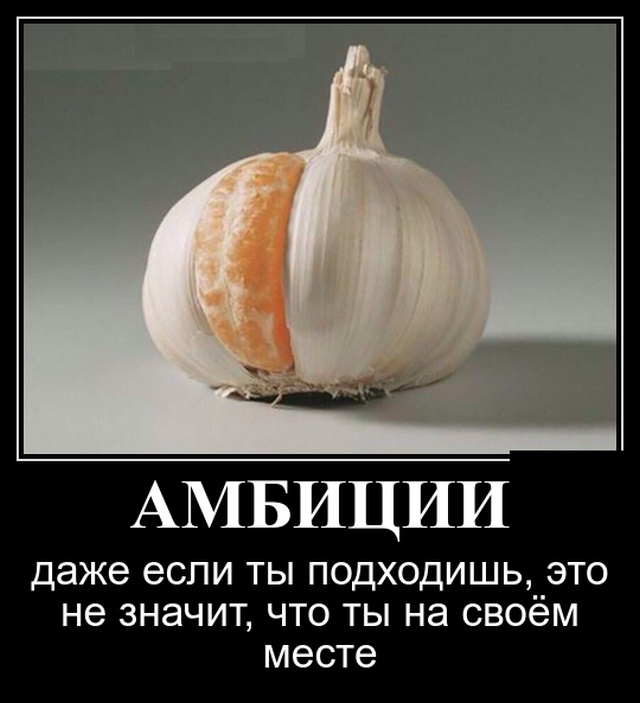 Демотиваторы