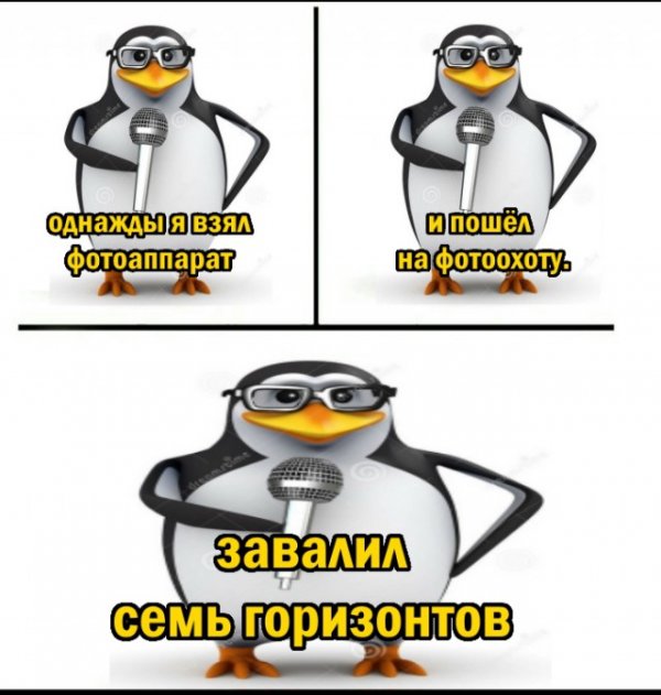 Стендапы от Пингвина