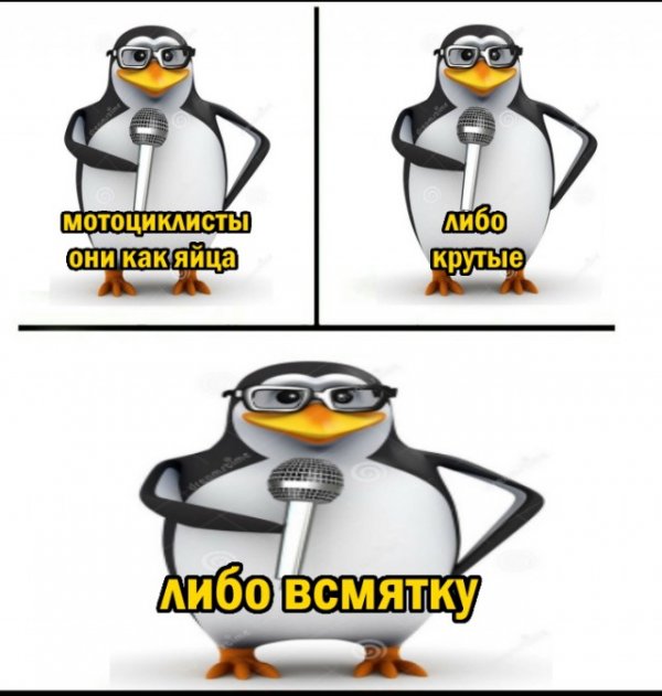 Стендапы от Пингвина