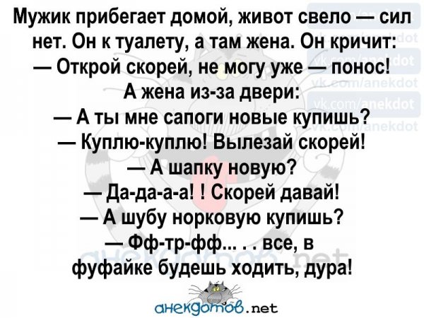 Лучшие анекдоты