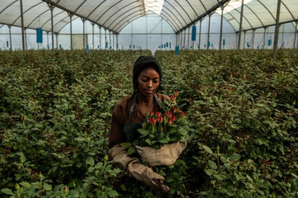 Подборка свежих, мартовских снимков из Африки