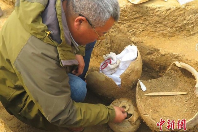 Китайские ученые нашли куриные яйца, которые были снесены 2500 лет назад Всячина