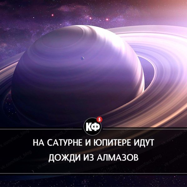 Краткие факты