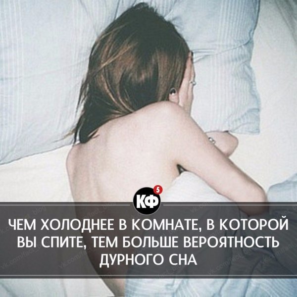 Краткие факты