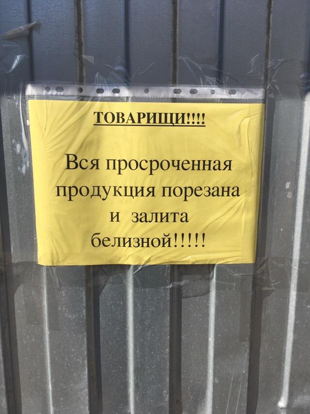 По родным просторам