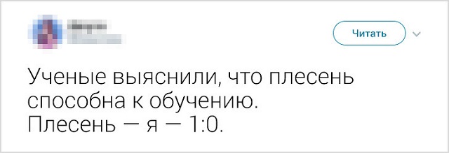 "Не сделал ничего, значит не сделал плохо!". Народно-интернетные изречения о лени