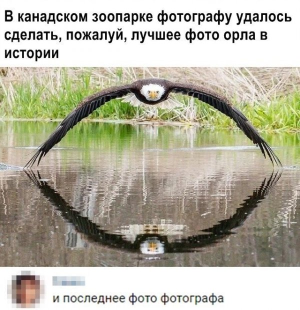 Люди говорят