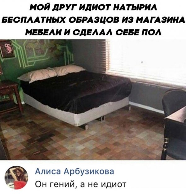 Картинка мечта идиота