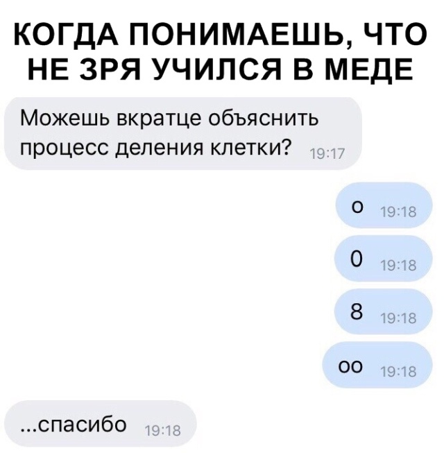 Прикольчики