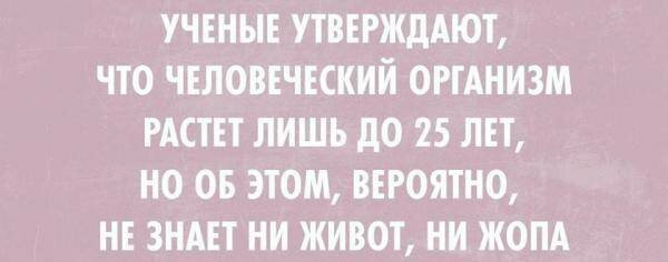 В шутку и всерьез о лишнем весе и диете