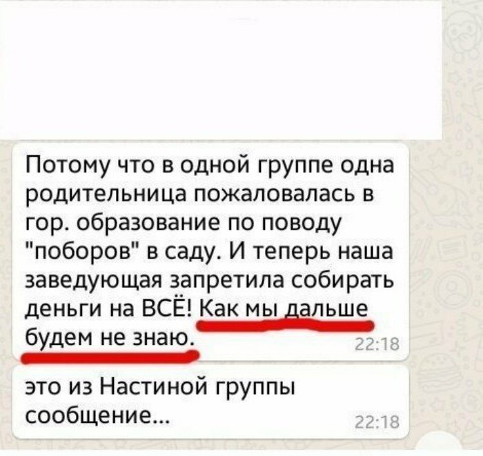 Родительские чаты: смех, ярость и конфузы