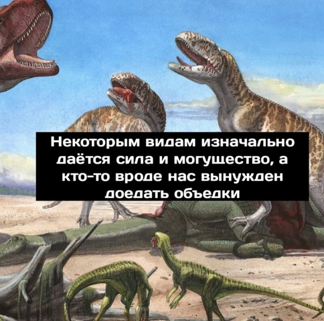 Минутка размышлений о приспособляемости видов от динозавров
