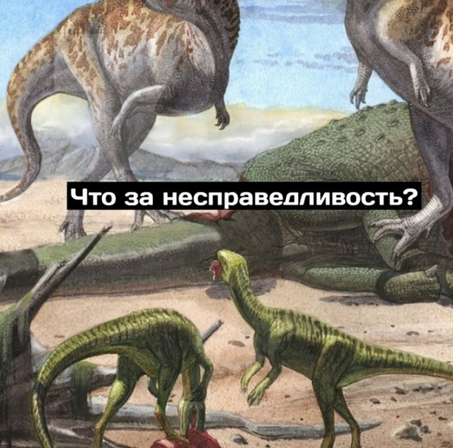Минутка размышлений о приспособляемости видов от динозавров Всячина