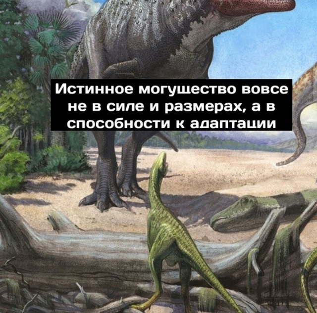 Минутка размышлений о приспособляемости видов от динозавров