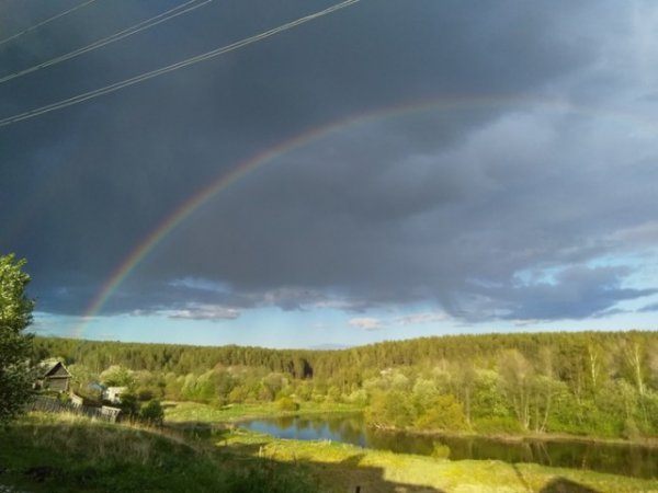 Каникулы в деревне