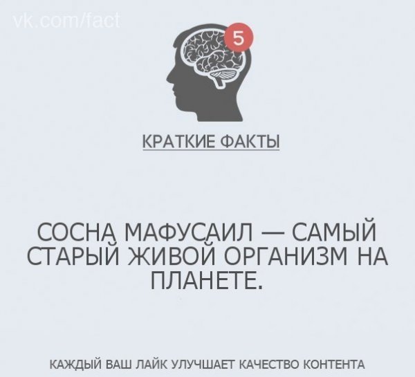 Краткие факты