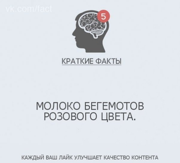 Краткие факты