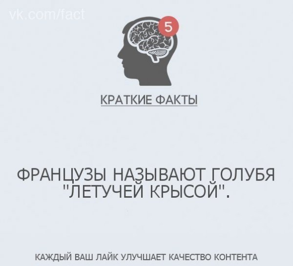 Краткие факты