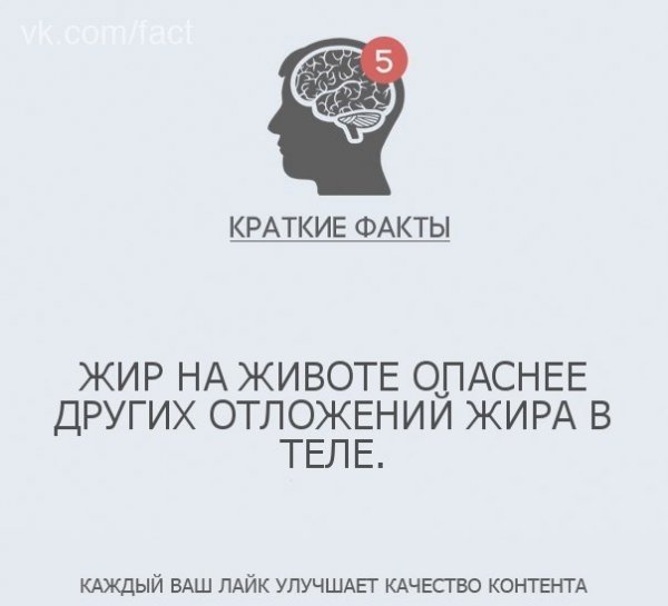 Краткие факты