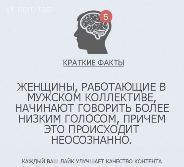 Краткие факты