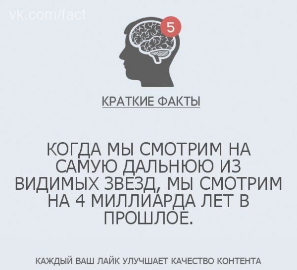 Краткие факты