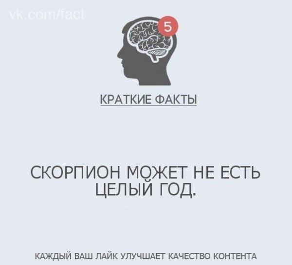 Краткие факты