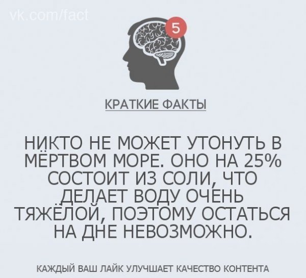 Краткие факты