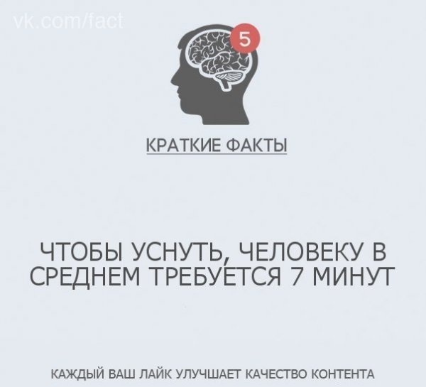 Краткие факты