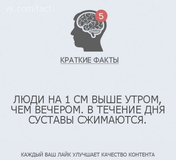 Краткие факты