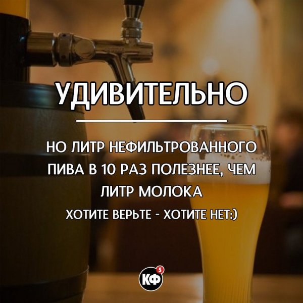 Краткие факты