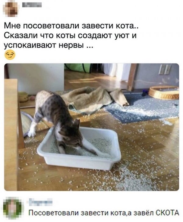 Люди говорят