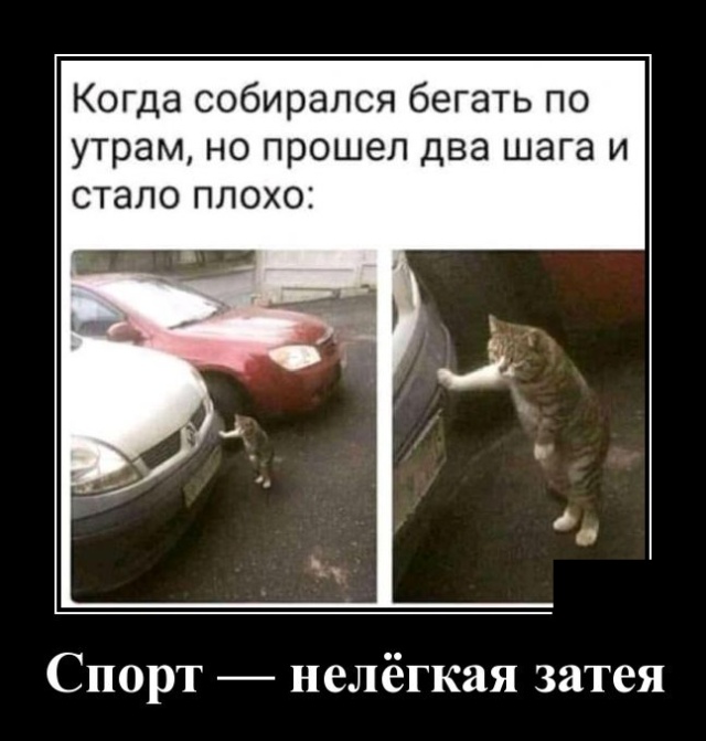 Демотиваторы