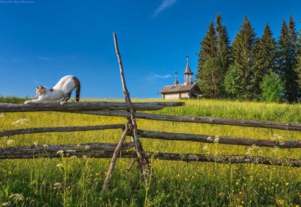 30 фото русской глубинки, которые затронут струны вашей души