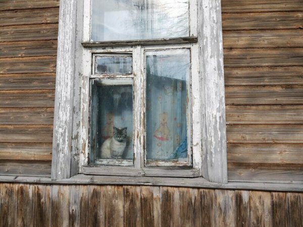 30 фото русской глубинки, которые затронут струны вашей души