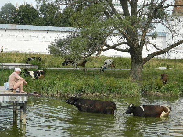 30 фото русской глубинки, которые затронут струны вашей души