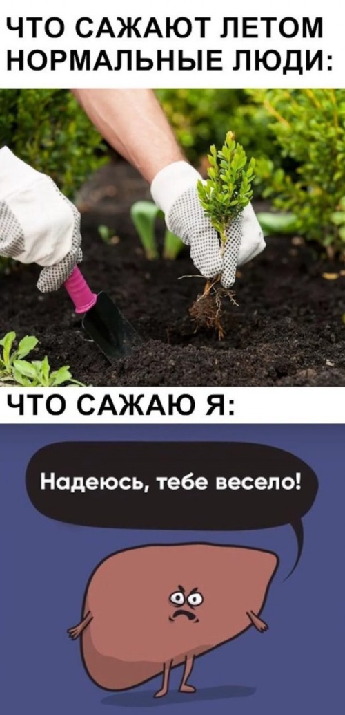 Прикольчики