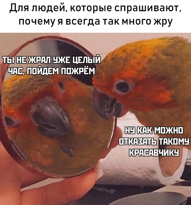 Прикольчики