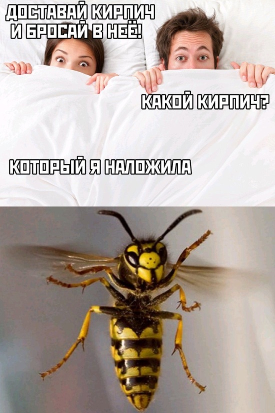 Прикольчики