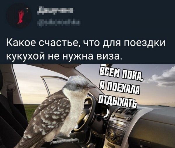 Люди говорят